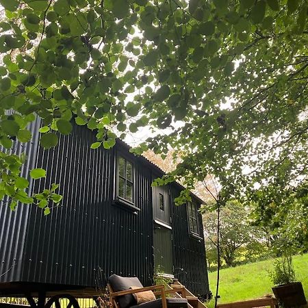 Cornwall Woodland Shepherd'S Hut Deirdres Hut Bodmin Eksteriør billede