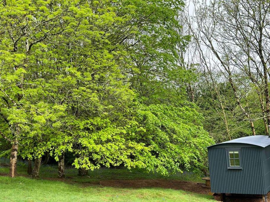 Cornwall Woodland Shepherd'S Hut Deirdres Hut Bodmin Eksteriør billede