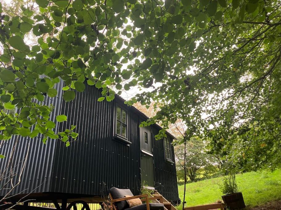 Cornwall Woodland Shepherd'S Hut Deirdres Hut Bodmin Eksteriør billede