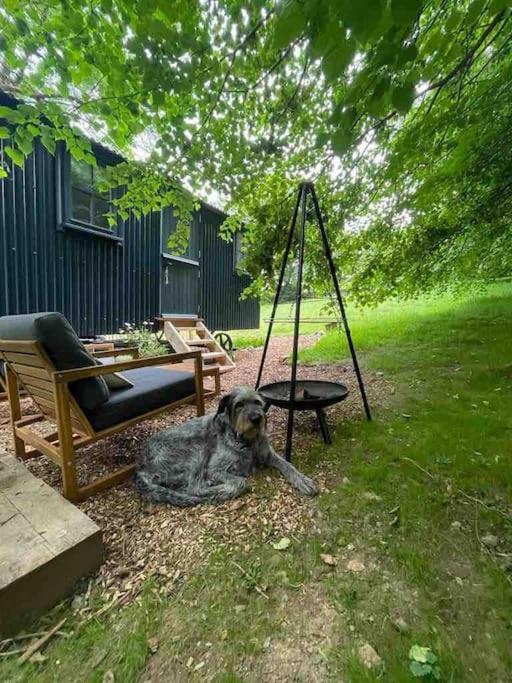 Cornwall Woodland Shepherd'S Hut Deirdres Hut Bodmin Eksteriør billede