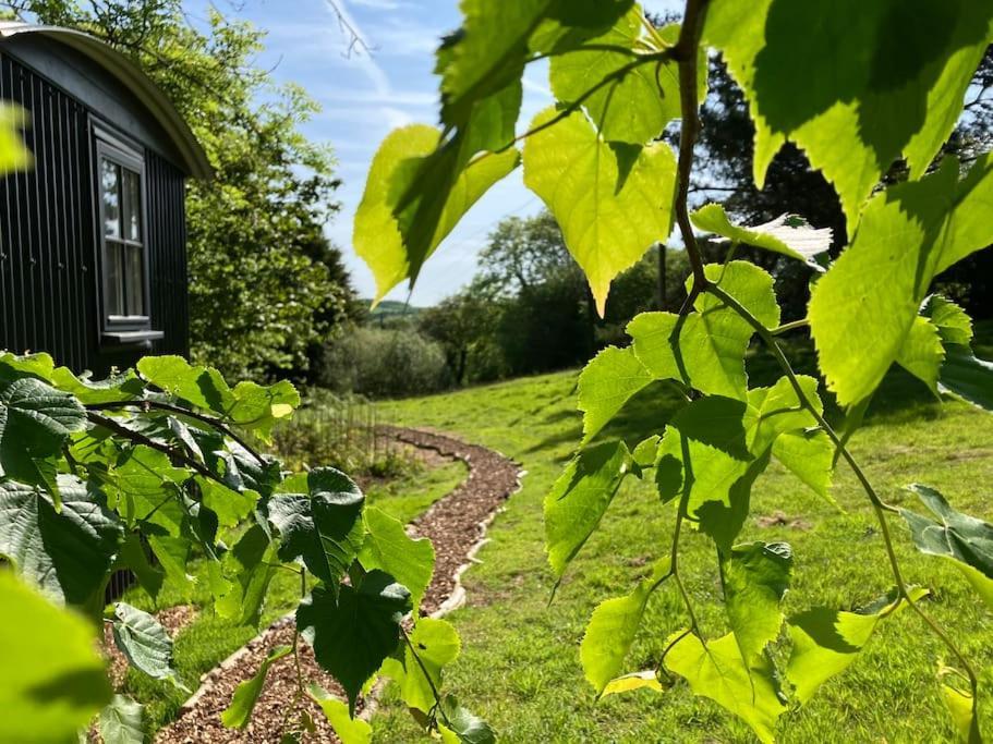 Cornwall Woodland Shepherd'S Hut Deirdres Hut Bodmin Eksteriør billede