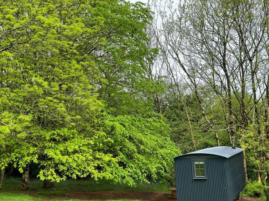 Cornwall Woodland Shepherd'S Hut Deirdres Hut Bodmin Eksteriør billede