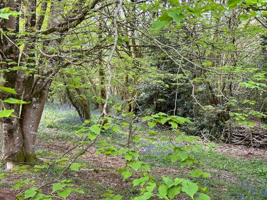 Cornwall Woodland Shepherd'S Hut Deirdres Hut Bodmin Eksteriør billede